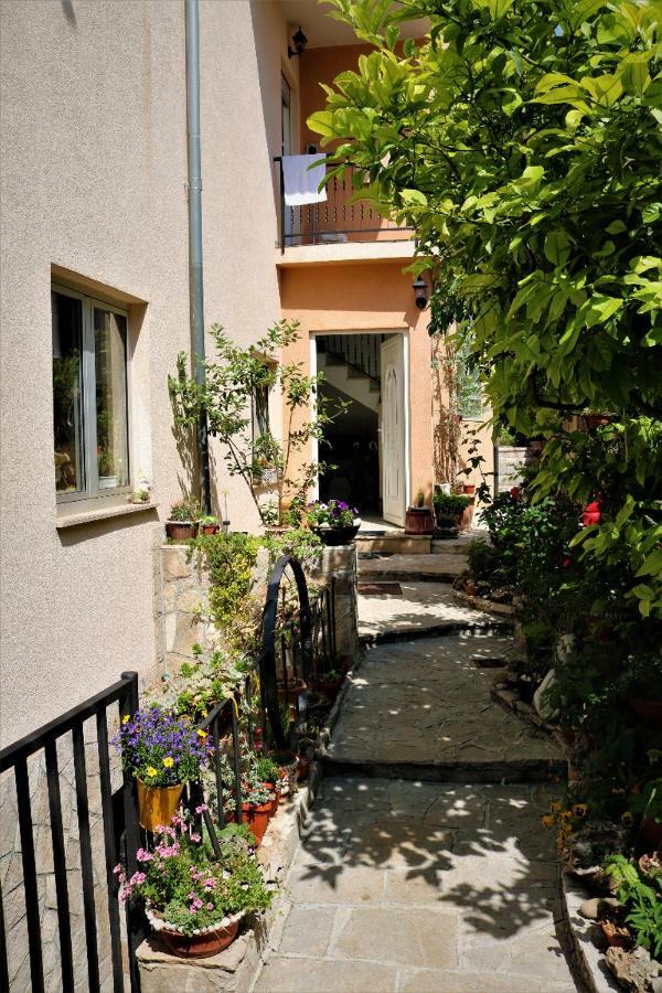 House Kovacevic *